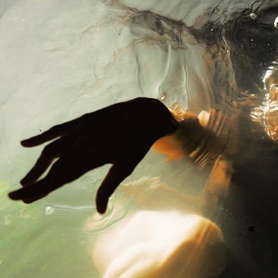 020202o2o2's profile picture. 