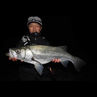 kohta_1985's profile picture. 生き物と釣りが好きです。 大きな個体を釣りたいとは思いつつも、 サイズ問わず、良き思い出となるような釣りができたらいいなと思っています。 (でも、大きなカンパチを釣ることが当面の目標です)