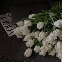 ‏﴿قُلْ عَسَى أَن يَكُونَ قَرِيبًا﴾ (@_aiha2) Twitter profile photo