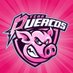 𝗧𝗘𝗔𝗠 𝗣𝗨𝗘𝗥𝗖𝗢𝗦 (@teampuercos) Twitter profile photo 𝗧𝗘𝗔𝗠 𝗣𝗨𝗘𝗥𝗖𝗢𝗦 (@teampuercos) Twitter profile photo