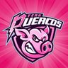 TeamPuercos's profile picture. 𝘾𝙤𝙢𝙥𝙚𝙩𝙞𝙩𝙞𝙫𝙚 𝙋𝙧𝙤𝙘𝙡𝙪𝙗𝙨 🇪🇸