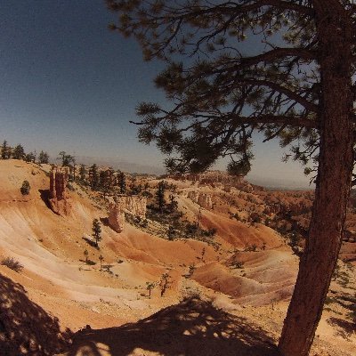 benthaabeast's profile picture. 