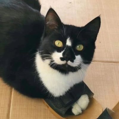 sevddg's profile picture. Şairane bir kaç söz...