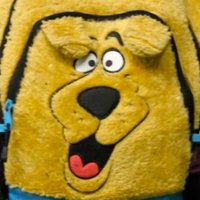 big dawg (@itsnotdev11) 's Twitter Profile
