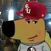 Norvell Burner Account (@noleblooded615) 's Twitter Profile