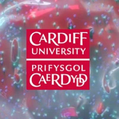 Cross-disciplinary research @cardiffuni. Infection, immunity, inflammation. Experimental, clinical & data science. Join our newsletter https://t.co/4N7GUetFwD