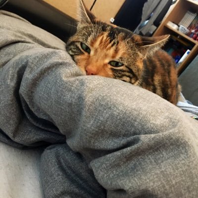 Levi_Ethan0's profile picture. 🦋 same name