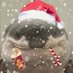 🎄S❄️WI-Schneefl❄️cke auf W❄️hnungssuche🎄 (@wimimachtlehre) Twitter profile photo 🎄S❄️WI-Schneefl❄️cke auf W❄️hnungssuche🎄 (@wimimachtlehre) Twitter profile photo