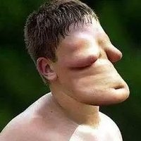 Speckkopf | ArjanMalićSZN (@speckk0pf) 's Twitter Profile