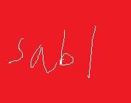 SABLNews's profile picture. Stuffed Animal Baseball