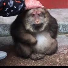 sevi_derk's profile picture. 