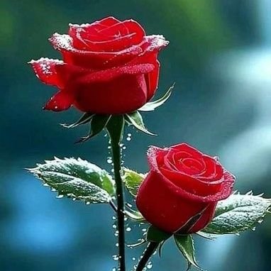 QtURt4LRav32's profile picture. 