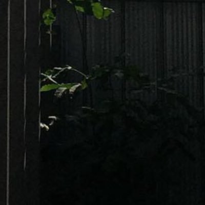 gdtbsfl's profile picture. 