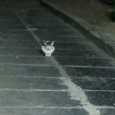 JagadishKalyan's profile picture. Kalyan