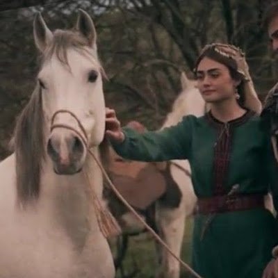 YaraSakr1098372's profile picture. 