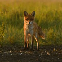 Bryce Nickels (@bryce_nickels) 's Twitter Profile