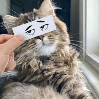 Sk€lt○n☆♡🥇 (@yunq454) 's Twitter Profile