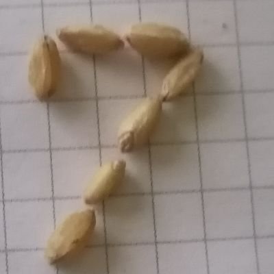 Büyük hayaller küçük kıvılcımlarla başlar. Yapmanız gereken mücadele etmektir. DO NOT GİVE UP