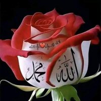 lalə Həsənova 🇦🇿 (@leylale23208360) Twitter profile photo