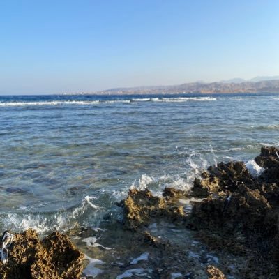 DrAAlmutairi's profile picture. 