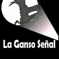 Miguel Salazar Aguilar (@miguelsala37270) 's Twitter Profile
