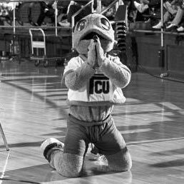 KickyBois4Lyf's profile picture. I pledge allegiance to special teams and also Bud Clark. 🐸⬆️