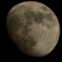 Quid is Véritas (@dsi_tco) 's Twitter Profile