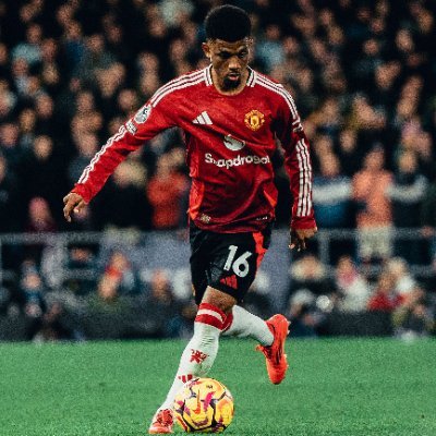Amorim_Eraa's profile picture. .