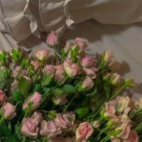 منيـرا 📭 (@1_cloud_1) 's Twitter Profile