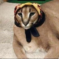 خالة بزونة (@a7bk_arx) 's Twitter Profile
