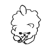 めに (@_oll05) 's Twitter Profile Photo めに (@_oll05) 's Twitter Profile Photo