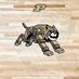 PPHS Broad Ripple Lynx Athletic Department (@lynxlocker) Twitter profile photo