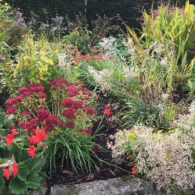 YorkLisa's profile picture. 