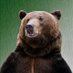 Datawarriorwilbur (@datasoldier) Twitter profile photo Datawarriorwilbur (@datasoldier) Twitter profile photo
