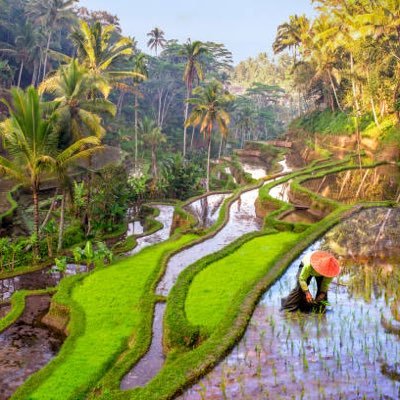 IconicEscapes's profile picture. 🌍✨ Travel Enthusiast | Sharing tips & adventures. Join me to explore hidden gems and share your travel stories! 🌟 #TravelCommunity #Wanderlust