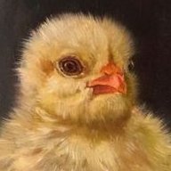 faxnhfyj's profile picture. ....