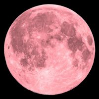 G π (@mllefluoxetine) 's Twitter Profile