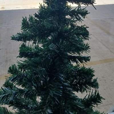 rv4fwy13e's profile picture. Hi