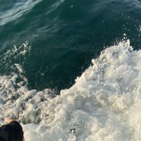 J🪄 (@0_8jn) 's Twitter Profile Photo