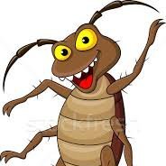 BarataLose43044's profile picture. ⛺ #camper4life