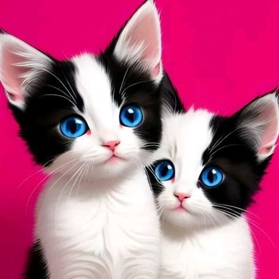 husna1luv's profile picture. Socialearning username:uchu935