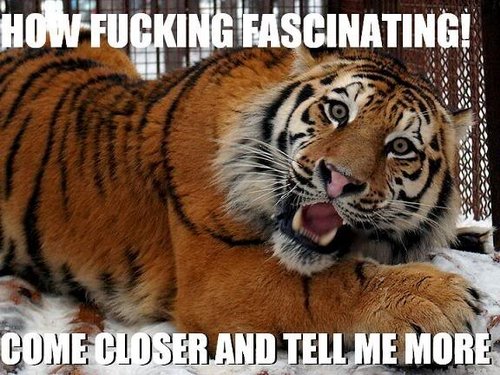 BitchDrunkTiger's profile picture. 3 Bitch Drunk Tigers who see the world through the eye of the tiger