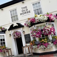 The Old Horse (@theoldhorsele2) 's Twitter Profile Photo The Old Horse (@theoldhorsele2) 's Twitter Profile Photo