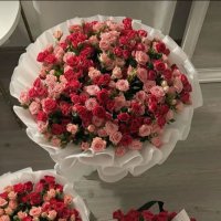 🌸 (@qhtfouz) Twitter profile photo