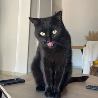 JeremyMont86319's profile picture. 