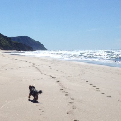 cheachea007's profile picture. 