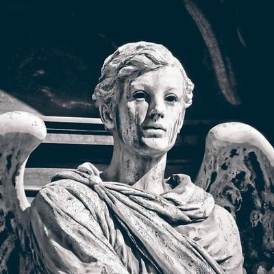 JohnSte32296339's profile picture. 