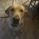 Ethan Janson - @ethan_jan0415 - Twitter