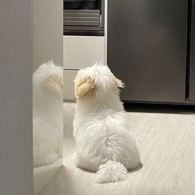 mi_t153's profile picture. 20↑