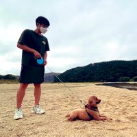 si won kim (@gimsiwon75140) 's Twitter Profile Photo si won kim (@gimsiwon75140) 's Twitter Profile Photo